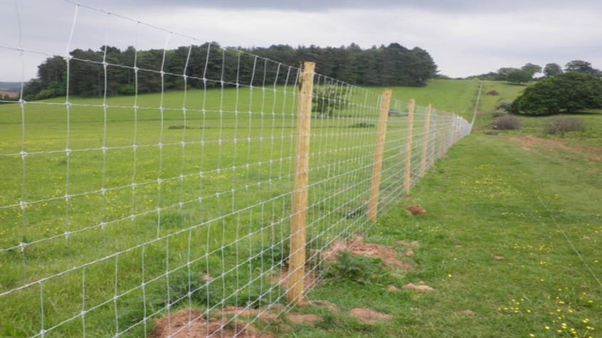 What type of fence is Cheapest
